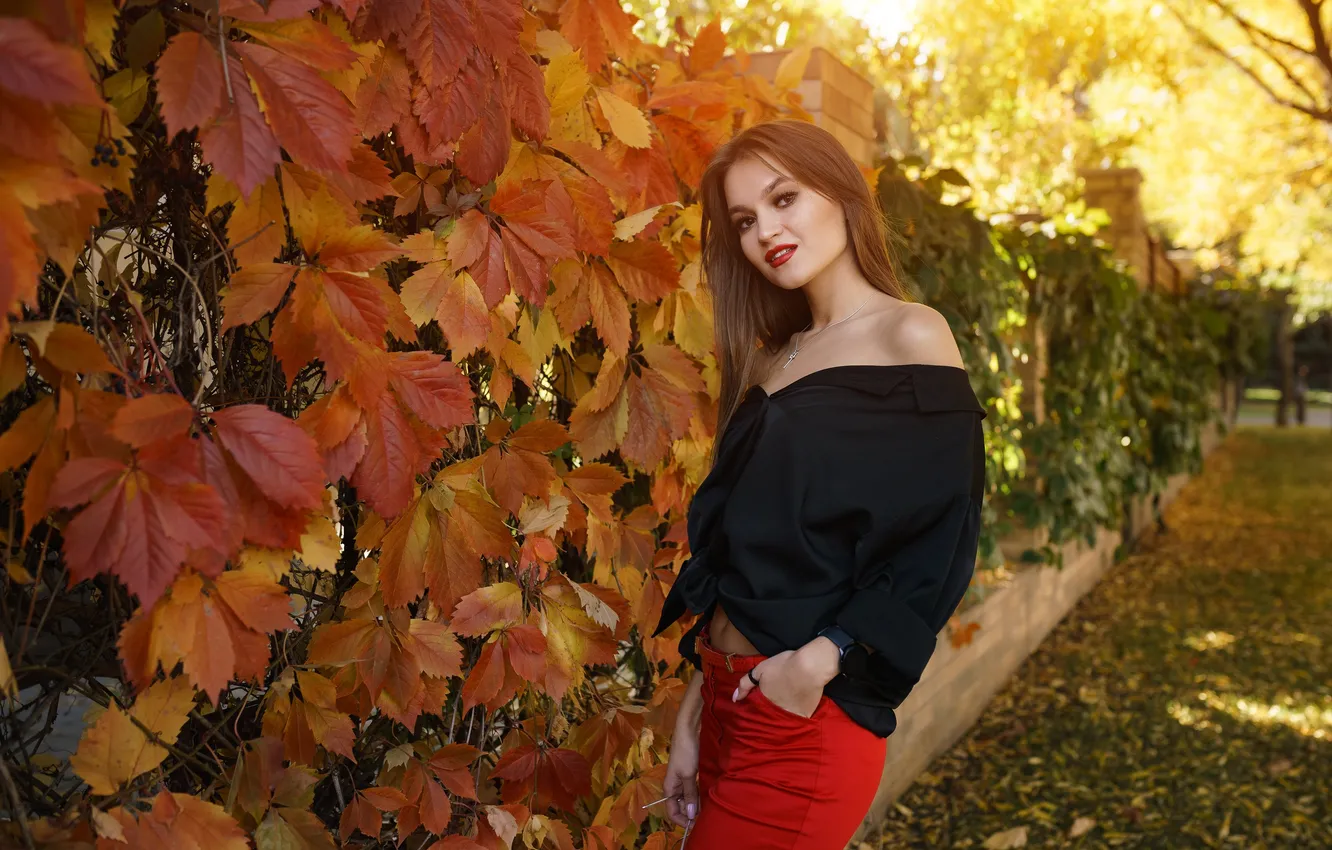 Photo wallpaper autumn, nature, brown hair, Vadim Mironov