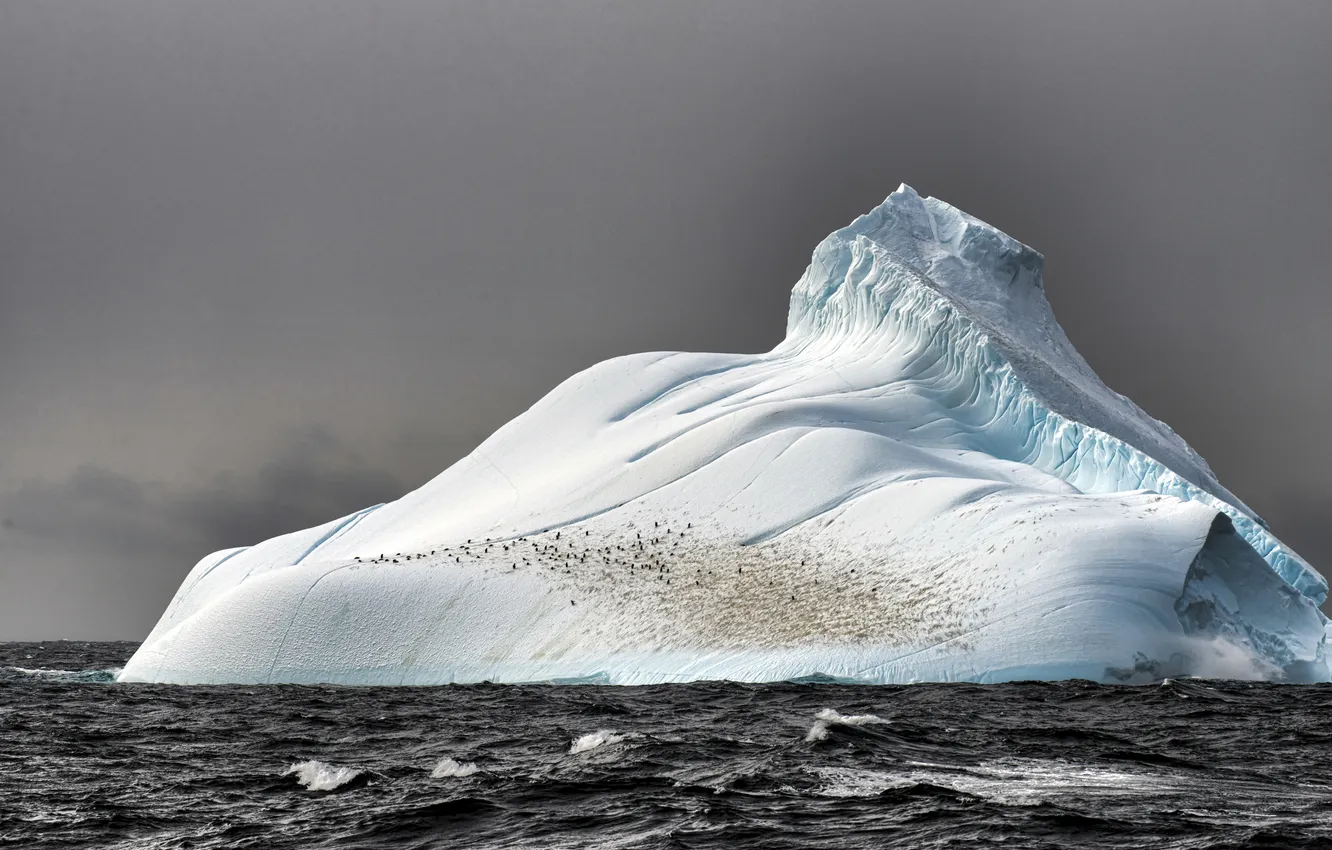 Photo wallpaper ice, sea, iceberg, blocks