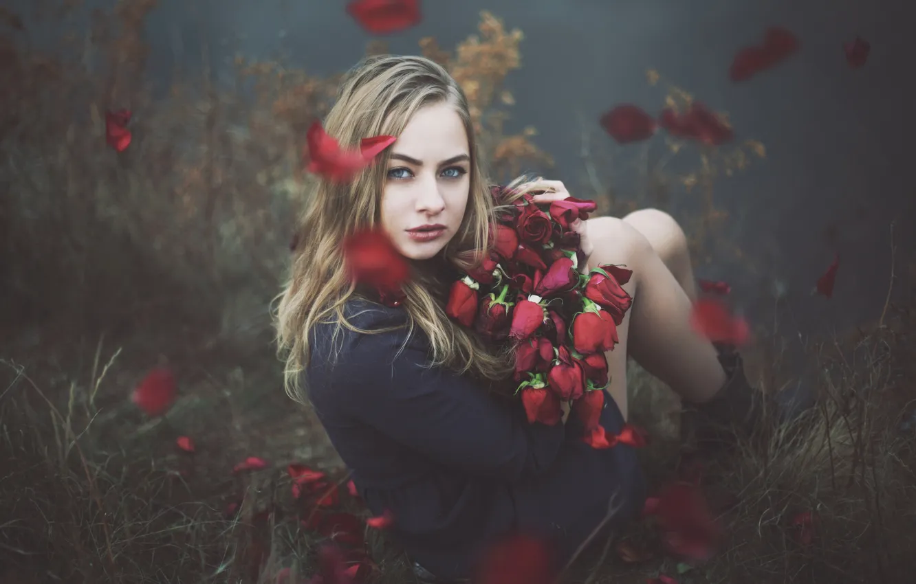Photo wallpaper look, girl, roses
