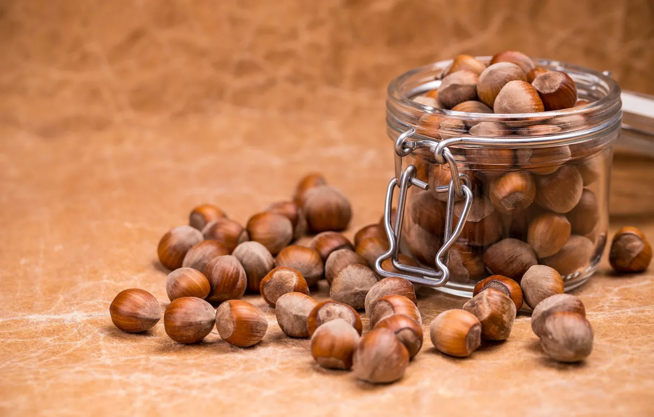 Photo wallpaper table, Bank, nuts, placer, hazelnuts