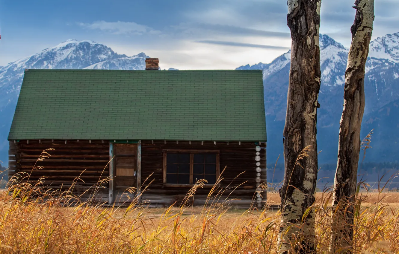 Photo wallpaper roof, field, snow, trees, mountains, home, haze, trunk