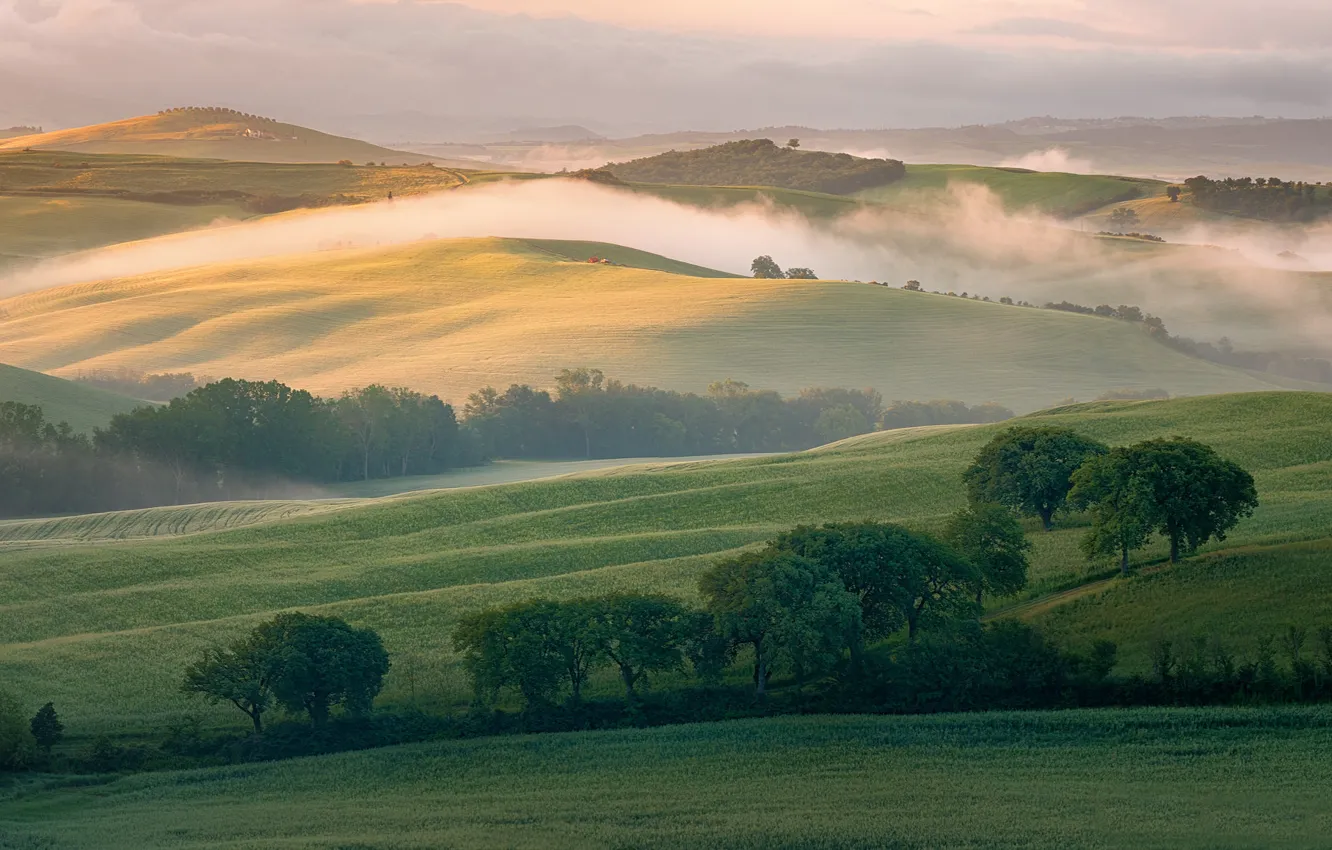 Photo wallpaper fog, hills, field, morning, Italy, Tuscany