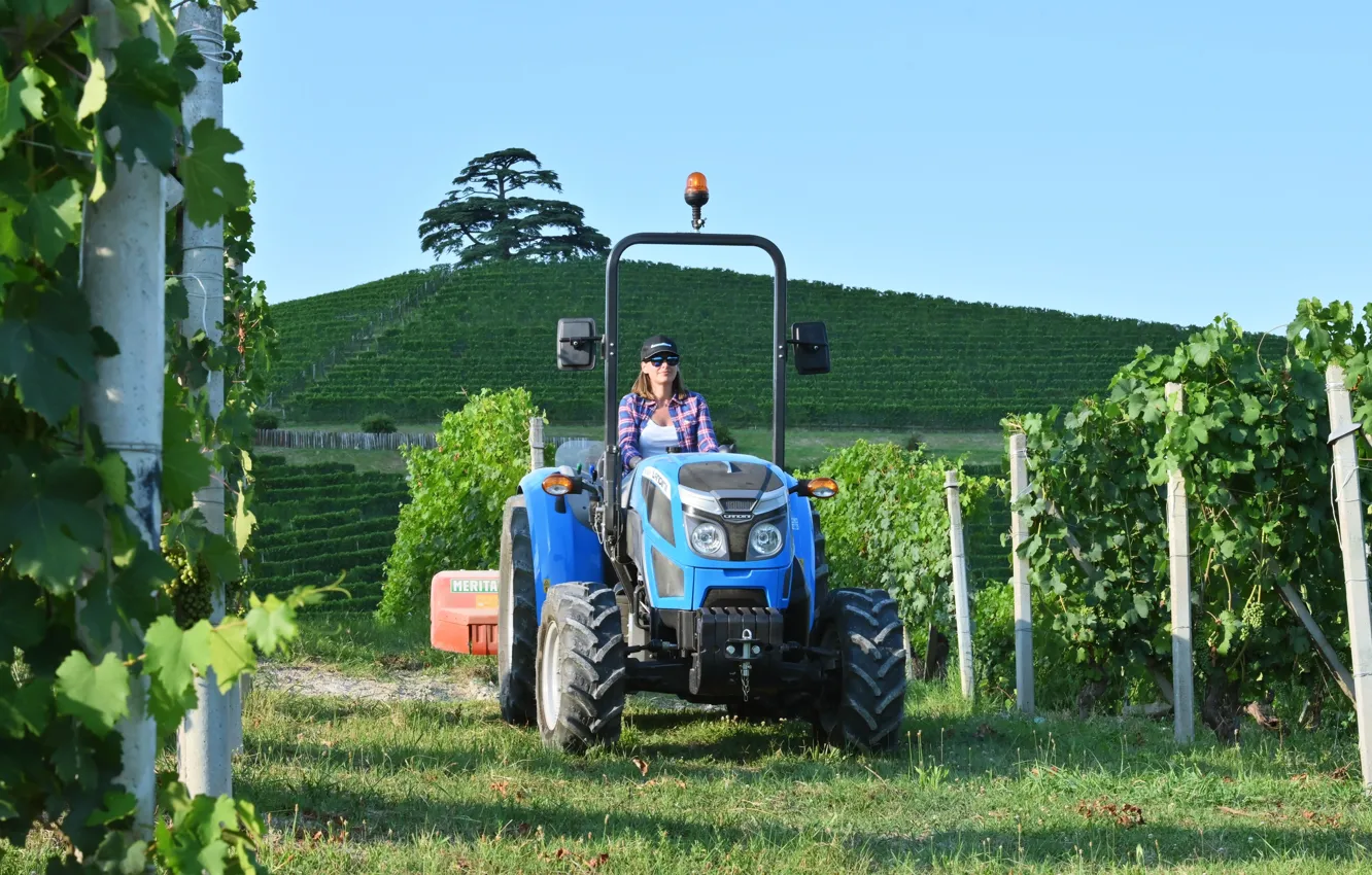 Photo wallpaper background, Wallpaper, technique, tractor, vineyard, wallpaper, picture, picture