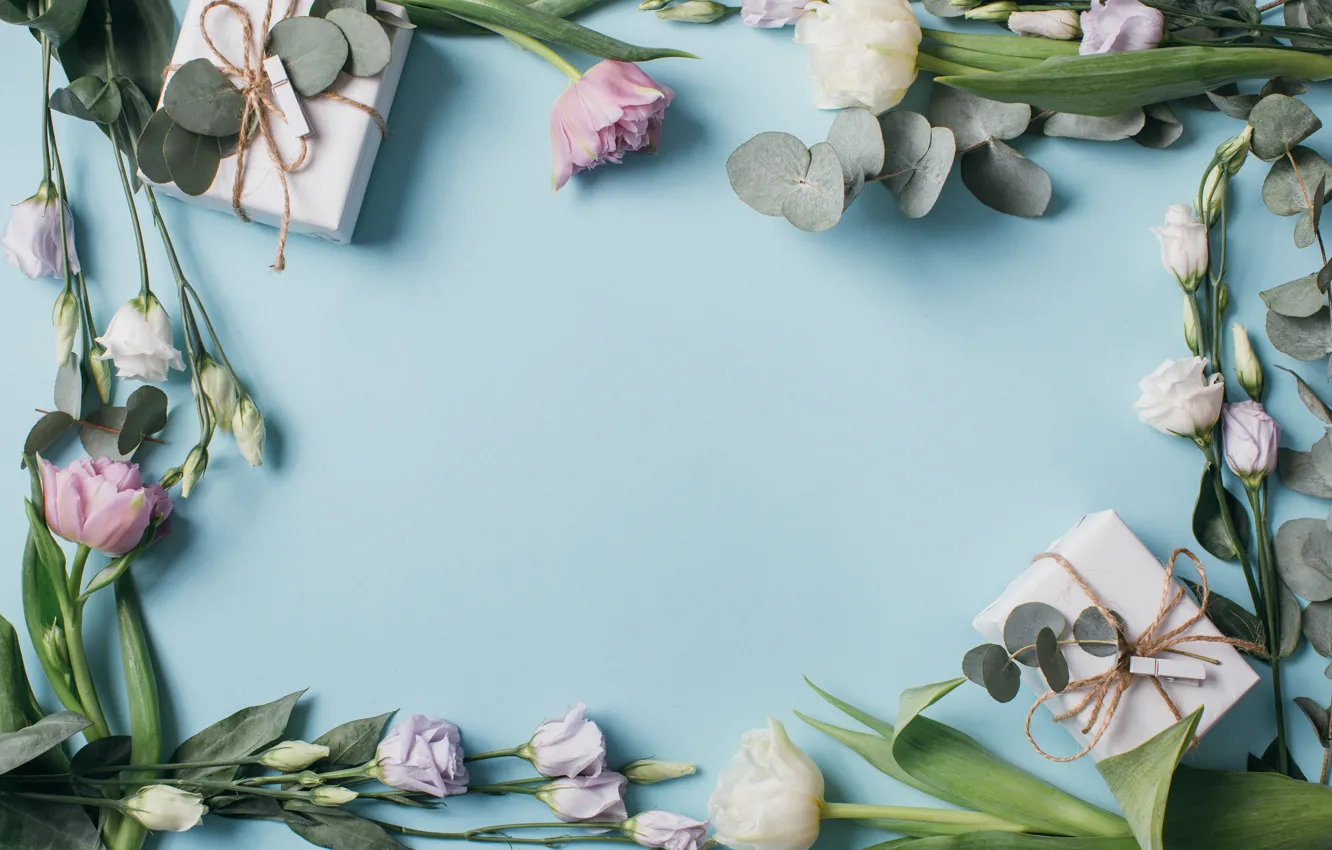 Photo wallpaper flowers, gift, tulips, pink, white, white, fresh, pink