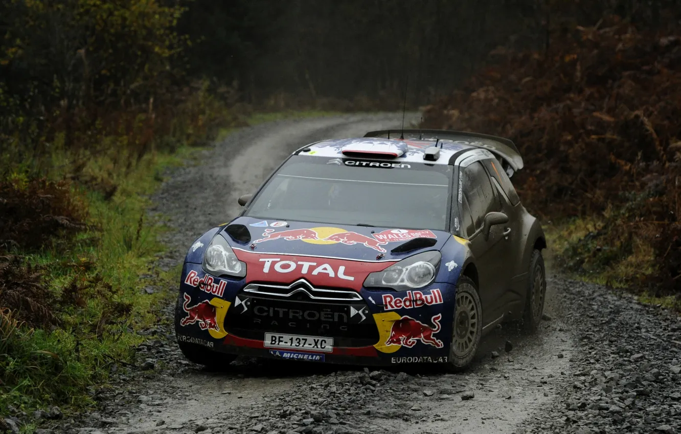 Photo wallpaper Auto, Dirt, Citroen, Lights, Red Bull, DS3, WRC, Rally