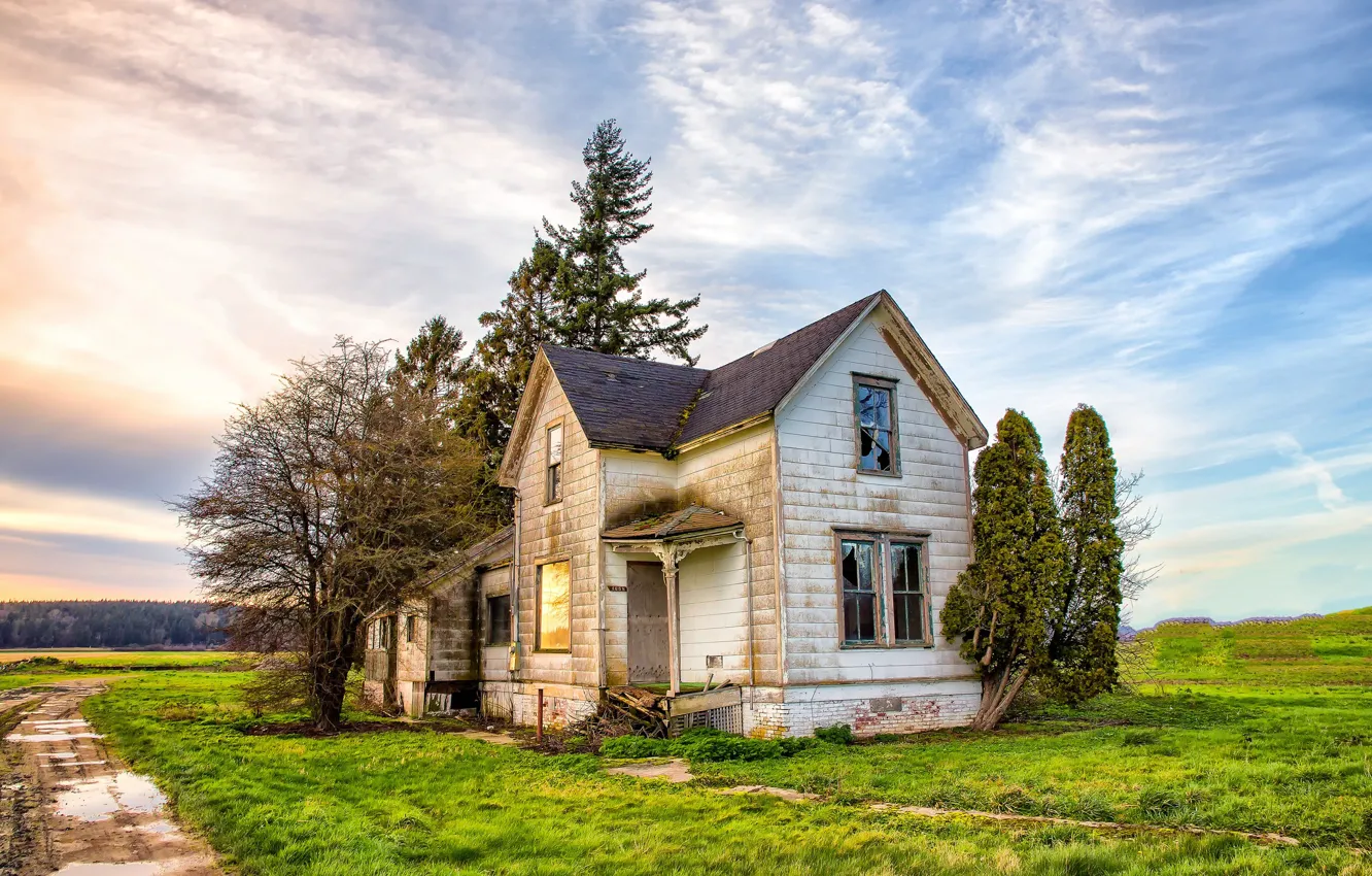 Photo wallpaper road, field, home