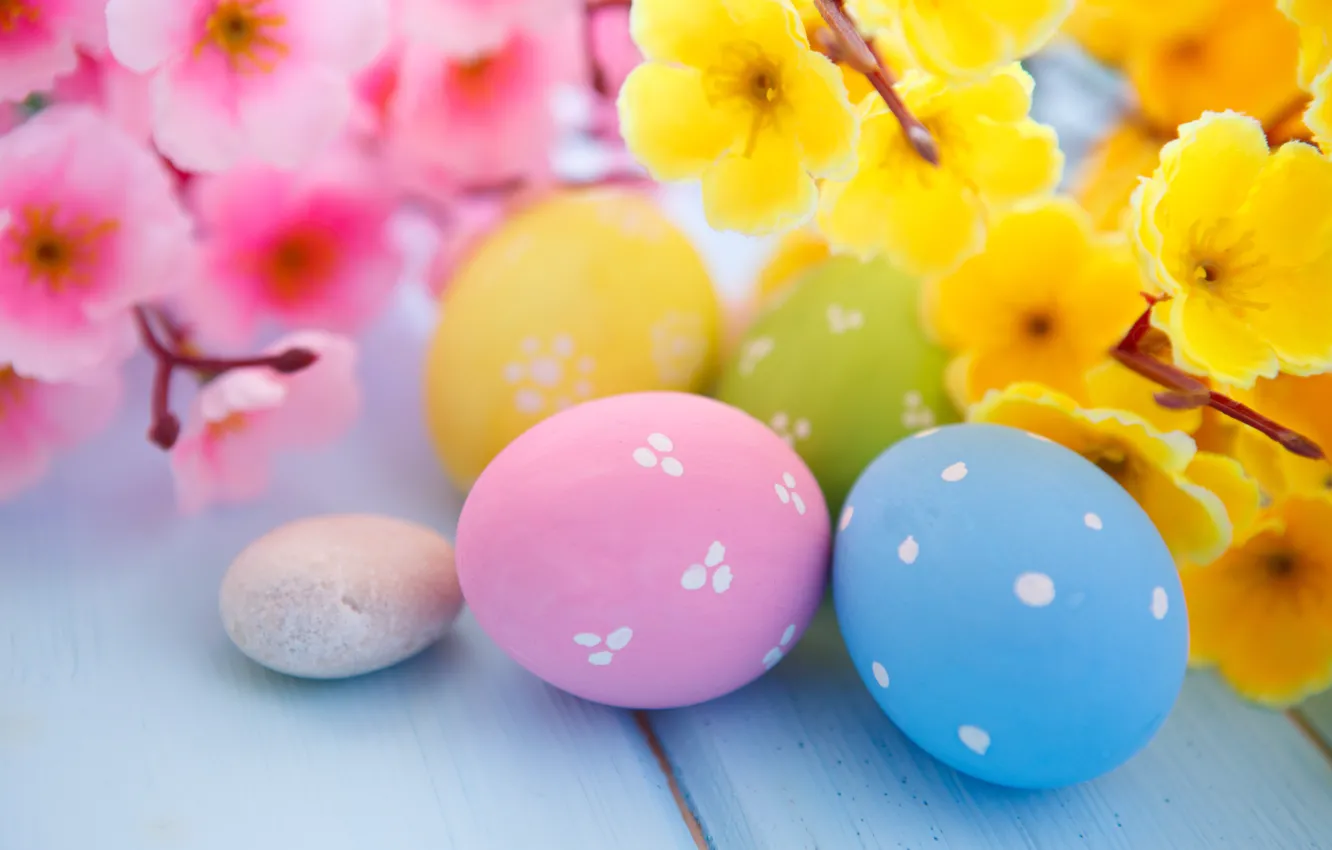 Photo wallpaper flowers, eggs, Easter, flowers, spring, Easter, eggs