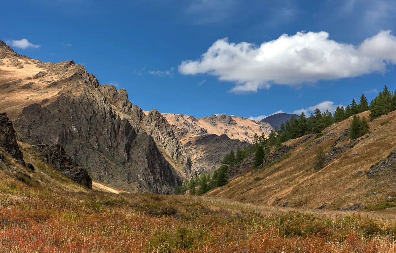 Photo wallpaper the sky, clouds, mountains
