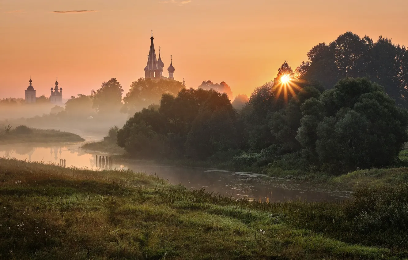 Photo wallpaper grass, the sun, rays, trees, landscape, nature, fog, river