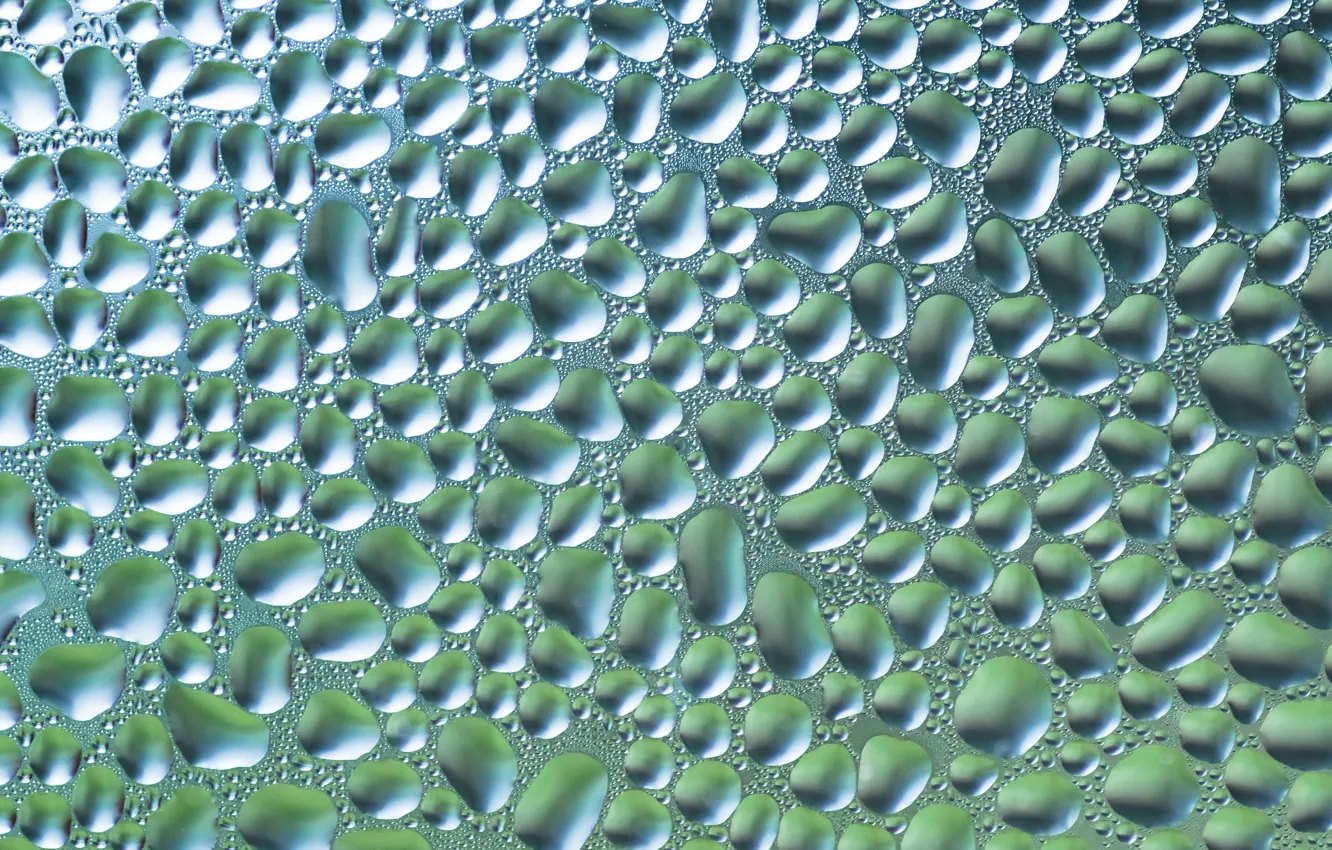 Photo wallpaper macro, droplets, after the rain, water drops