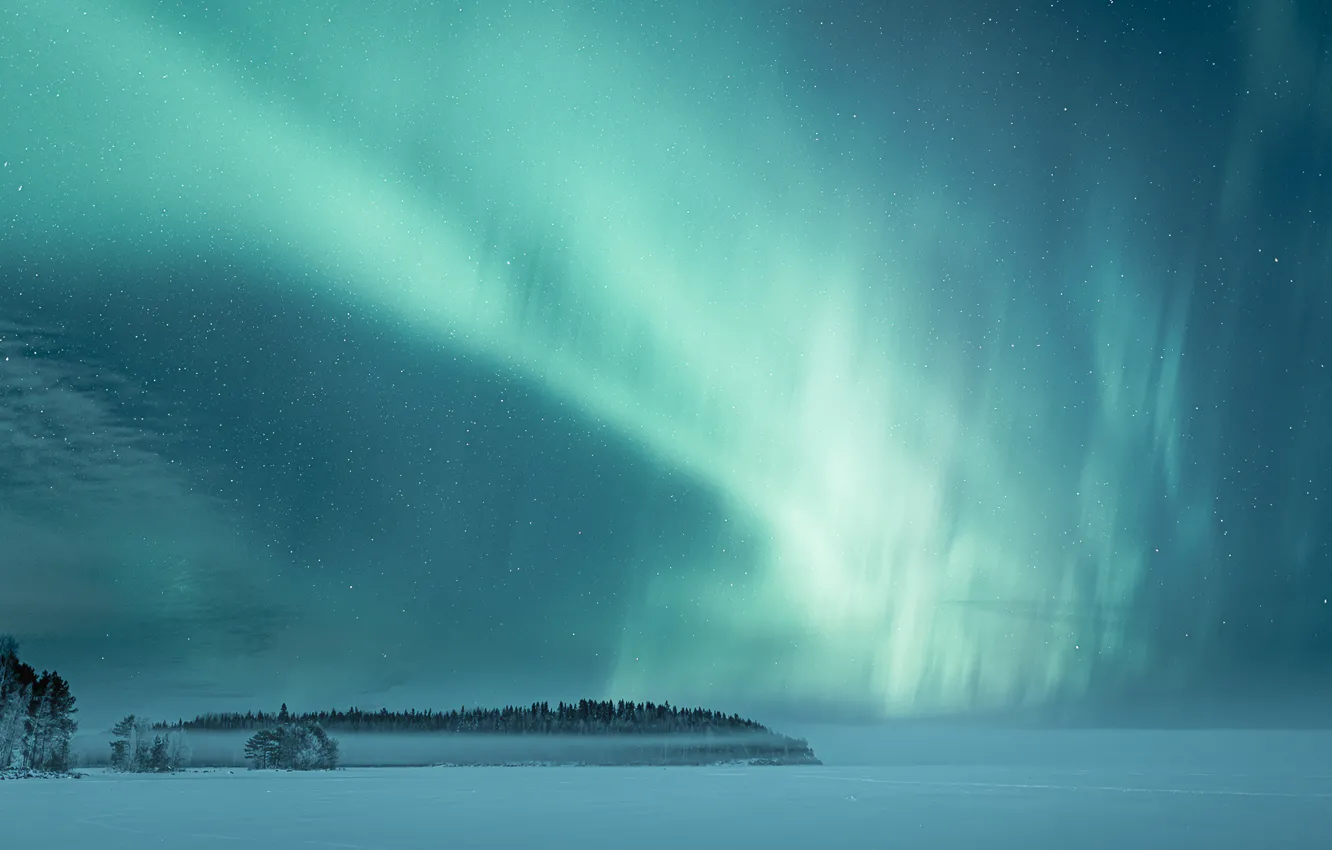 Photo wallpaper green, forest, Northern lights, winter