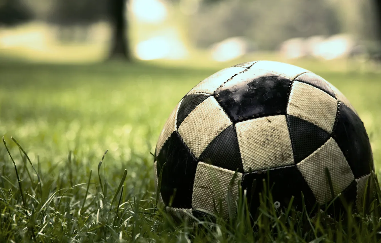 Photo wallpaper grass, macro, lawn, football, the game, the ball, sport, game