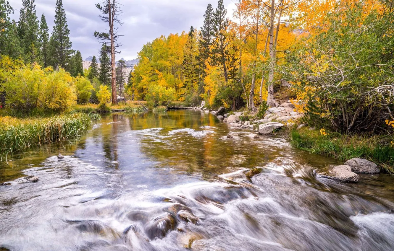 Photo wallpaper autumn, river, stream