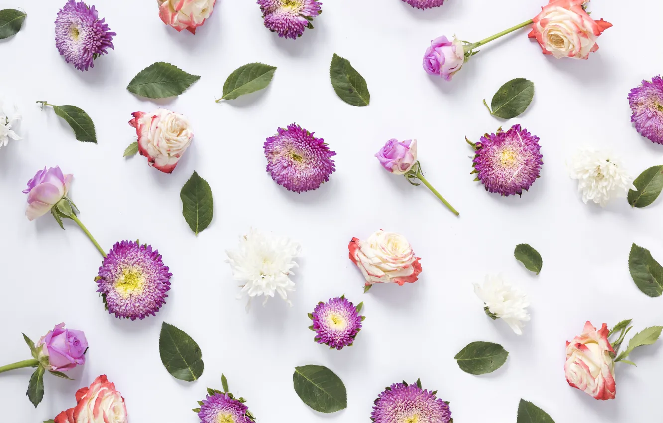 Photo wallpaper flowers, background, roses, petals, pink, buds, pink, flowers