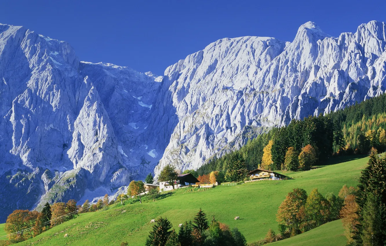 Photo wallpaper forest, mountains, nature, home, Austria, village, meadows