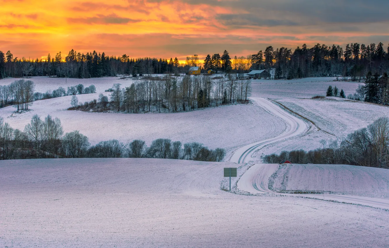 Photo wallpaper winter, road, field, snow