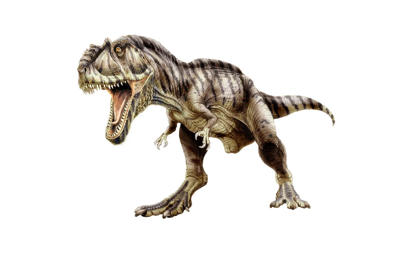 Photo wallpaper dinosaur, predator, mouth, tail, fangs