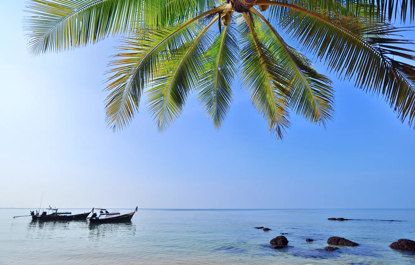 Photo wallpaper sand, sea, beach, summer, the sky, the sun, palm trees, shore