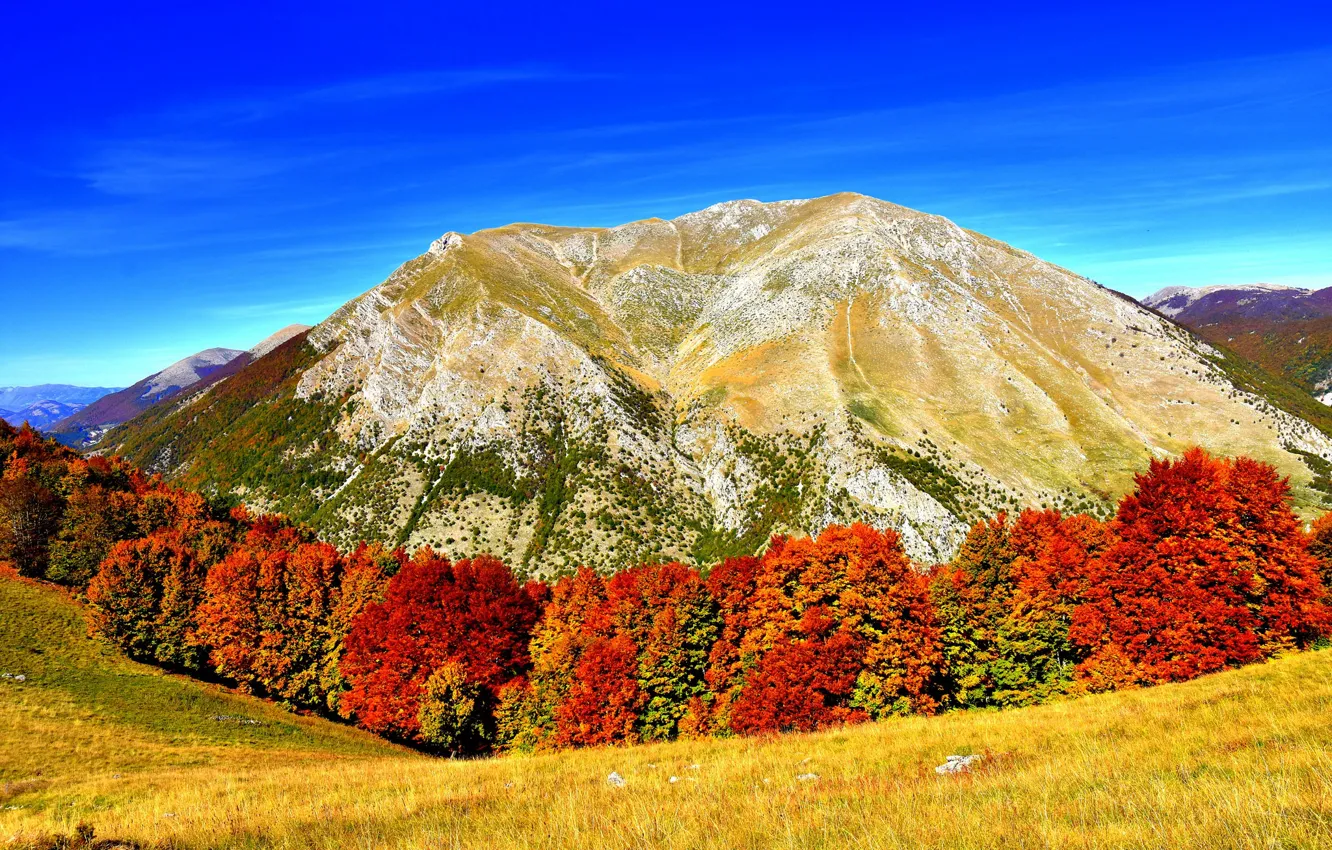 Photo wallpaper autumn, landscape, nature, mountain, yellow trees