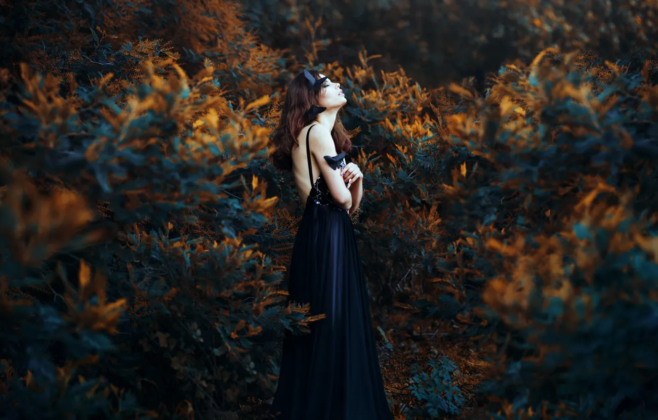 Photo wallpaper Ronny Garcia, When my black soul leaves, Maria Jose Weigel