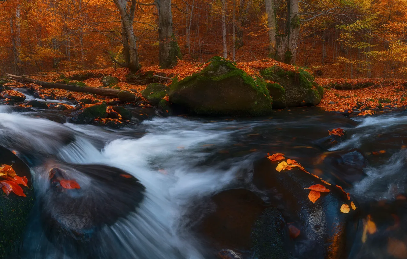 Photo wallpaper autumn, leaves, waterfall