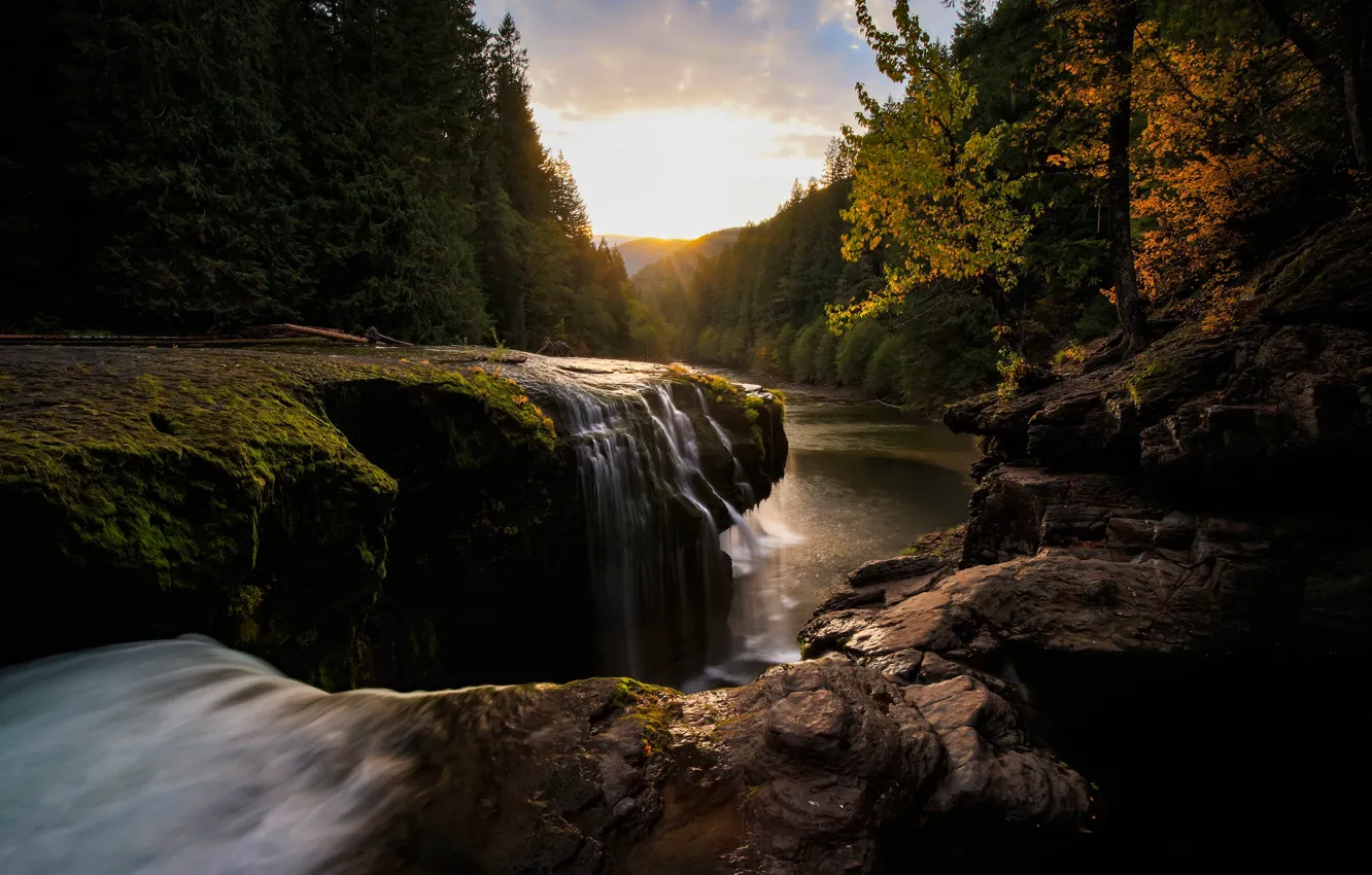 Photo wallpaper autumn, forest, the sun, light, trees, sunset, river, stones