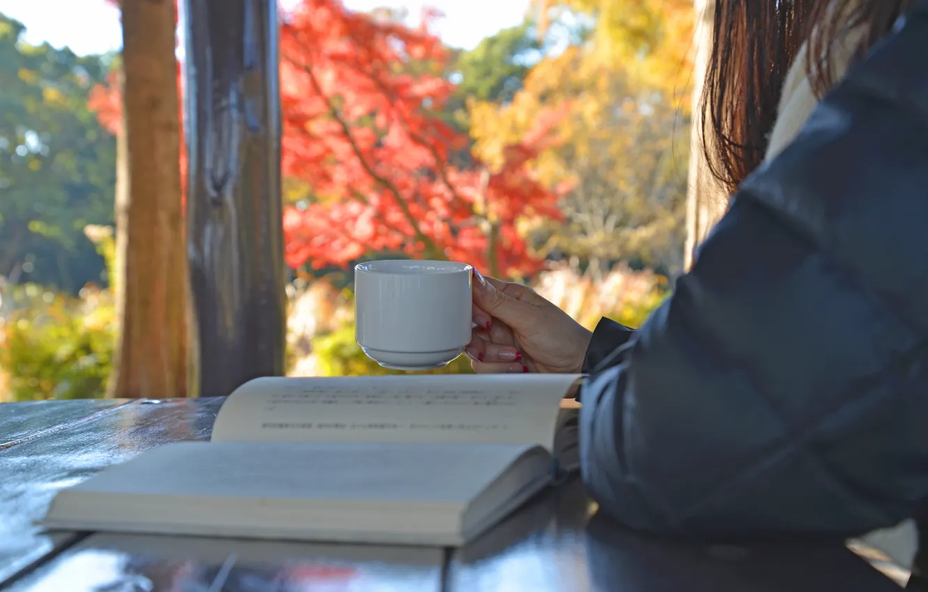 Photo wallpaper tea, woman, window, Cup, book, drink, reading
