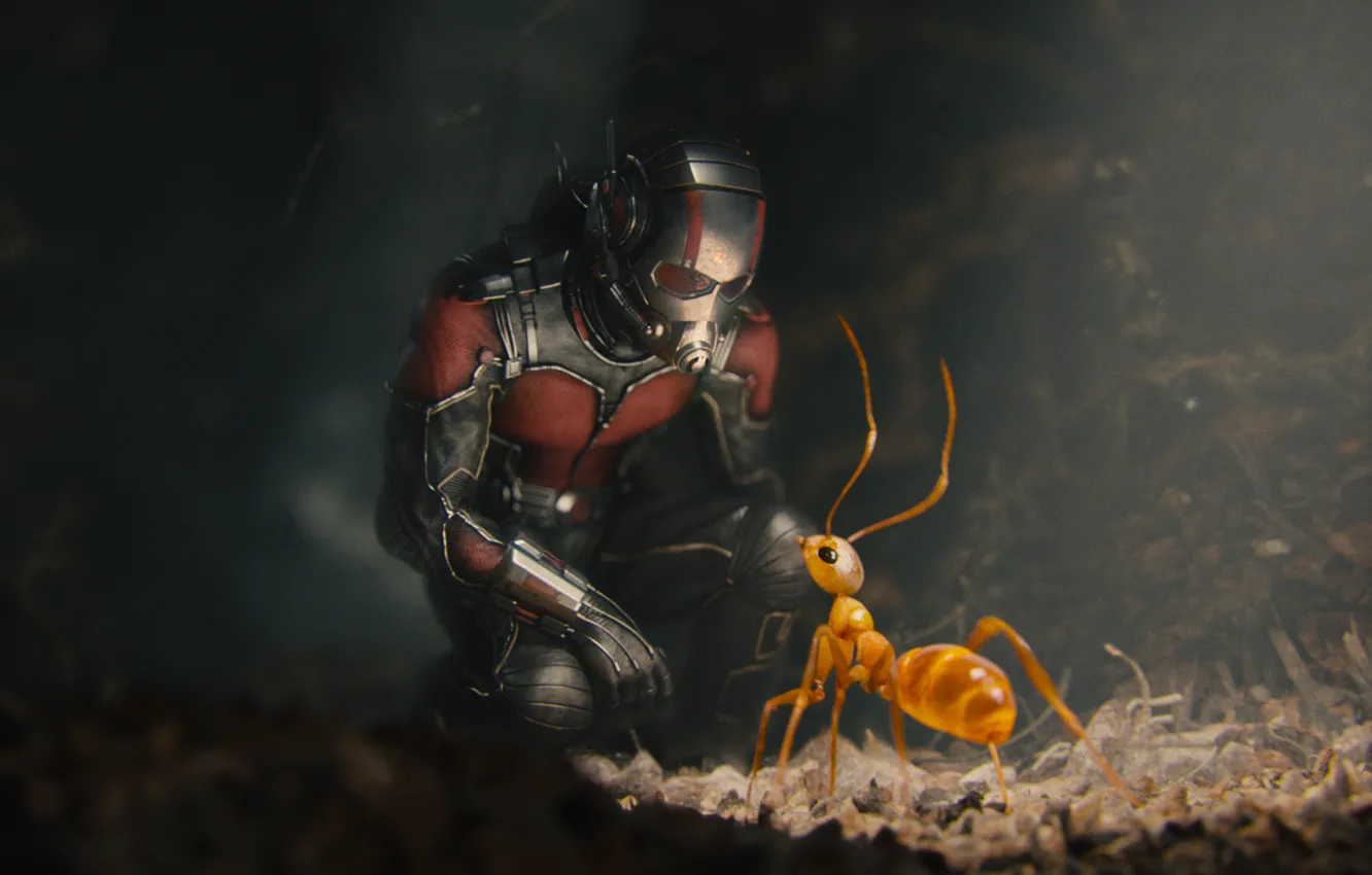 Photo wallpaper ant, costume, helmet, superhero, comic, Marvel, Ant-man, Ant-man