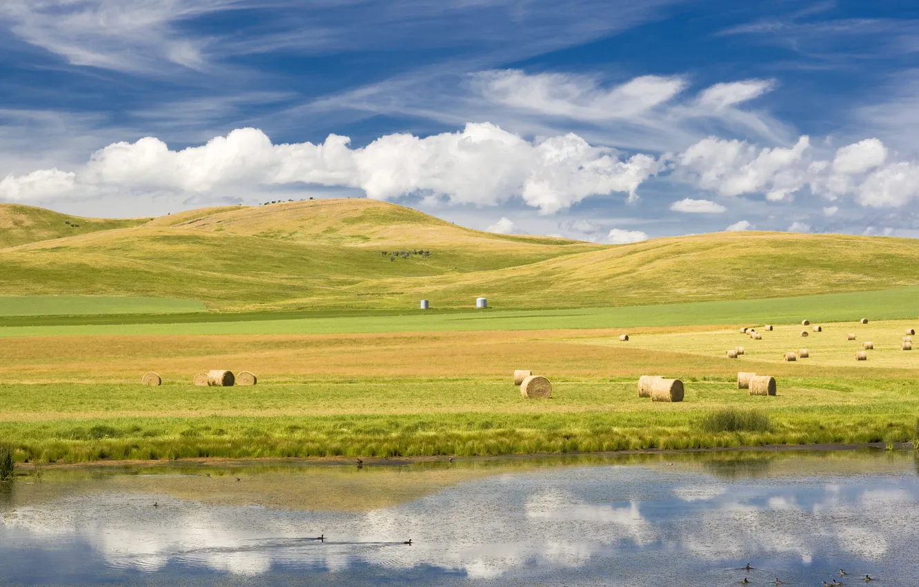 Photo wallpaper field, the sky, hills, river