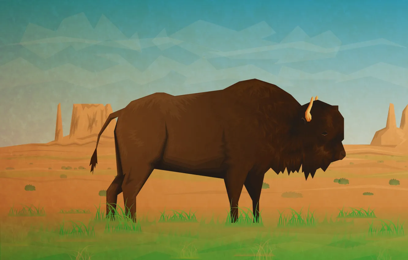 Photo wallpaper nature, Buffalo, Buffalo