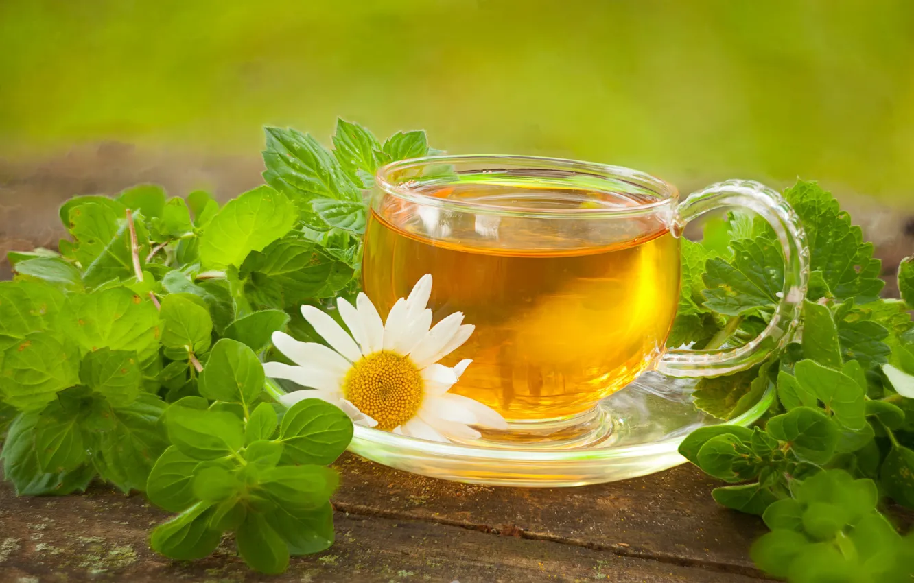 Photo wallpaper tea, chamomile, drink, mint