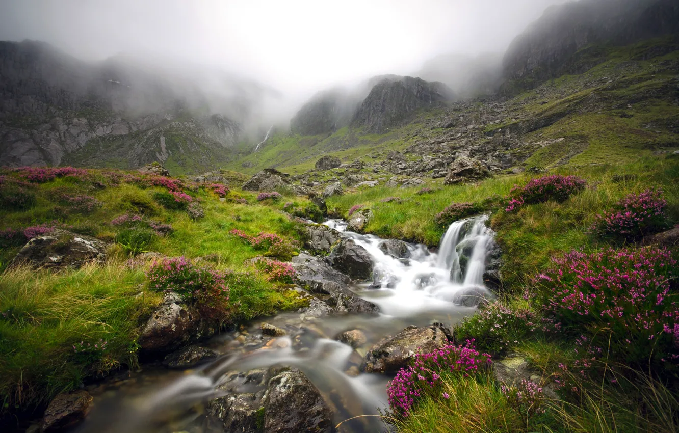 Photo wallpaper mountains, fog, stream, England, valley, England, Wales, Wales