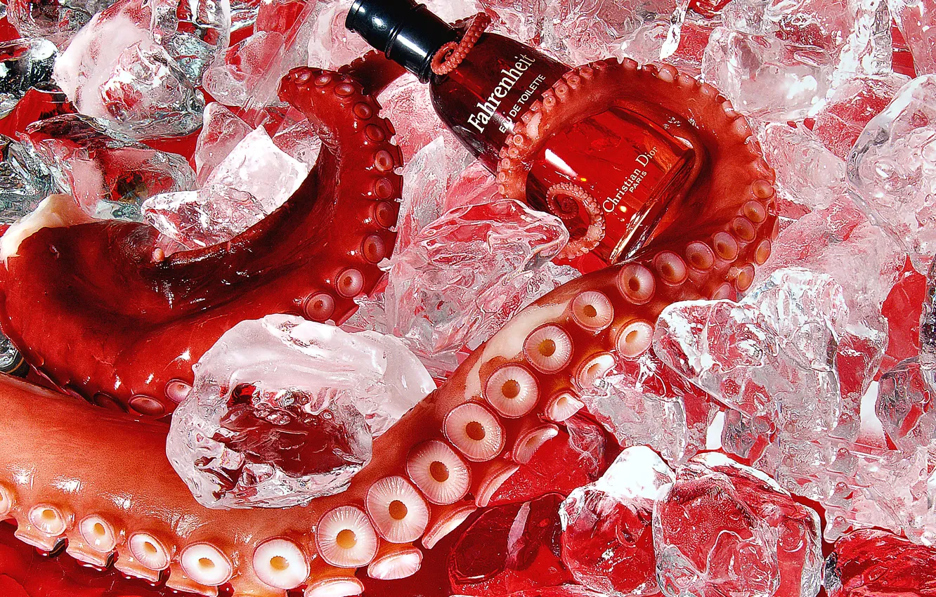 Photo wallpaper ice, tentacles, toilet water, Fahrenheit, Christian Dior