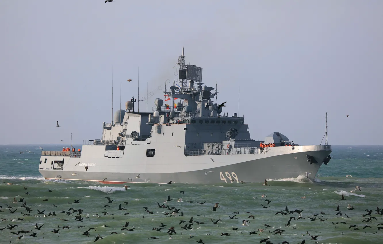 Photo wallpaper frigate, the project 11356, Admiral Makarov