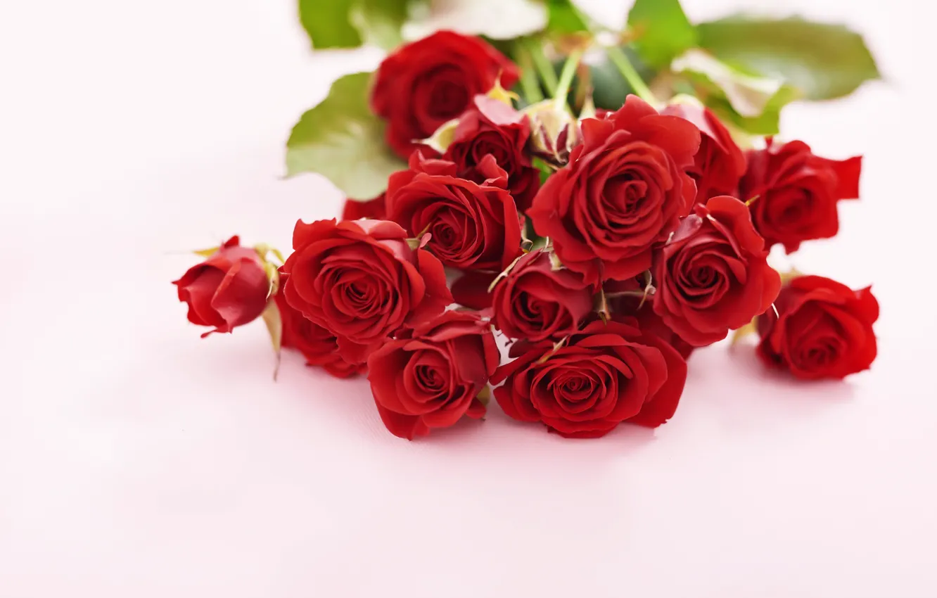 Photo wallpaper red, roses, bouquet, Yarovoy Aleksandr