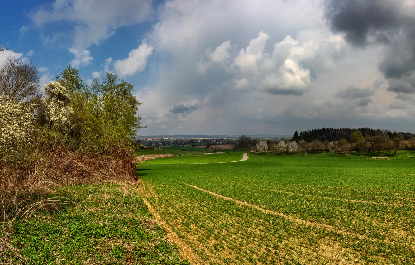 Photo wallpaper road, field, the sky, grass, clouds, trees, clouds, overcast