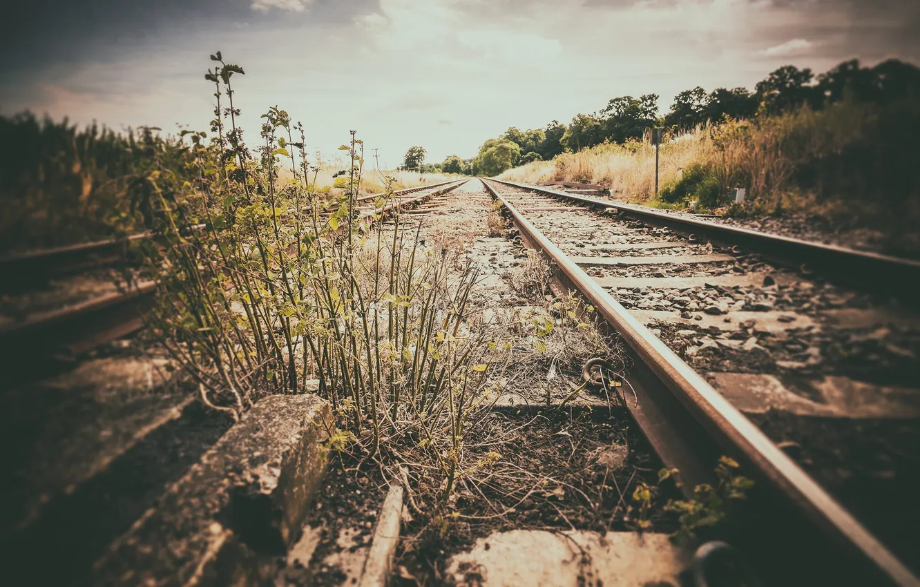 Photo wallpaper road, grass, nature