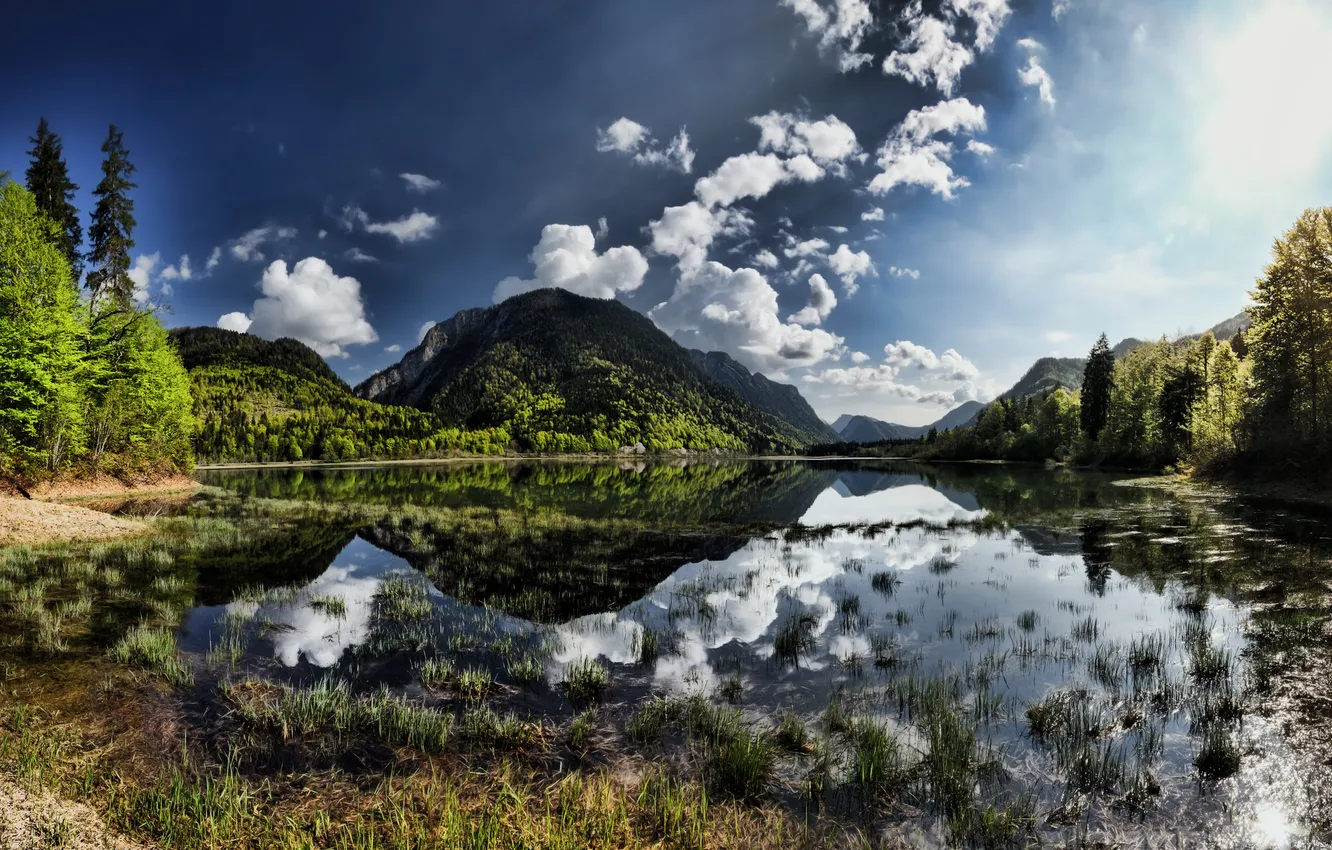Photo wallpaper green, forest, water, cloud, mountains, reflection