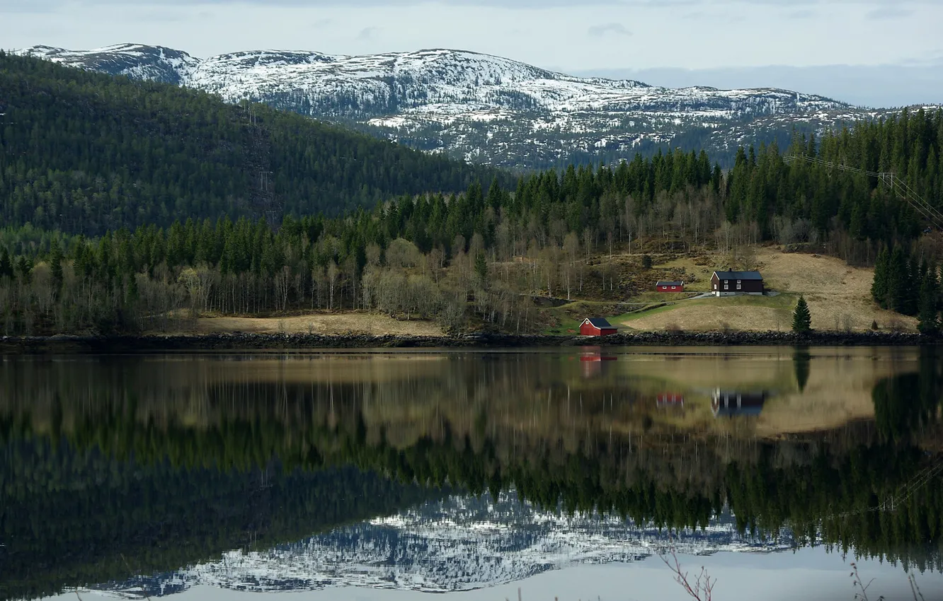 Photo wallpaper forest, nature, lake, reflection, house