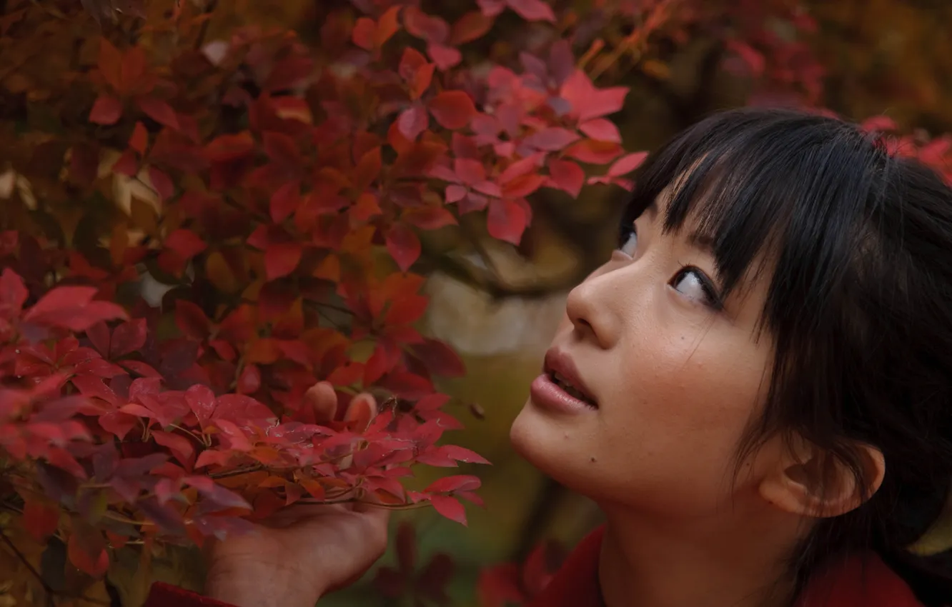 Photo wallpaper Japanese, girl, cool