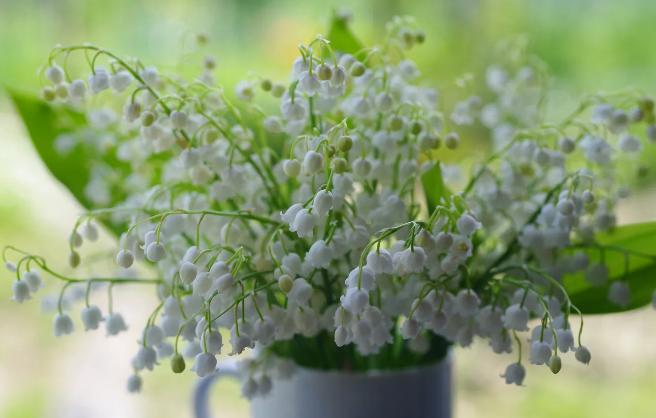 Photo wallpaper flowers, mood, plant, beauty, bouquet, spring, lilies of the valley, a bunch