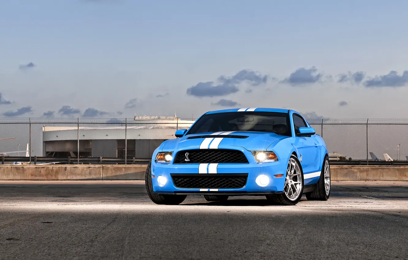 Photo wallpaper auto, blue, lights, Shelby, GT500, Mustang, muscle car, ford