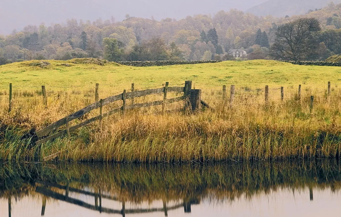 Photo wallpaper grass, landscape, nature, reflection, photo, silence, quiet