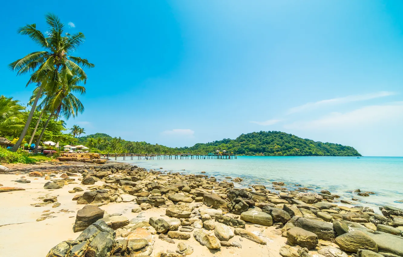 Photo wallpaper sand, sea, wave, beach, summer, the sky, palm trees, shore