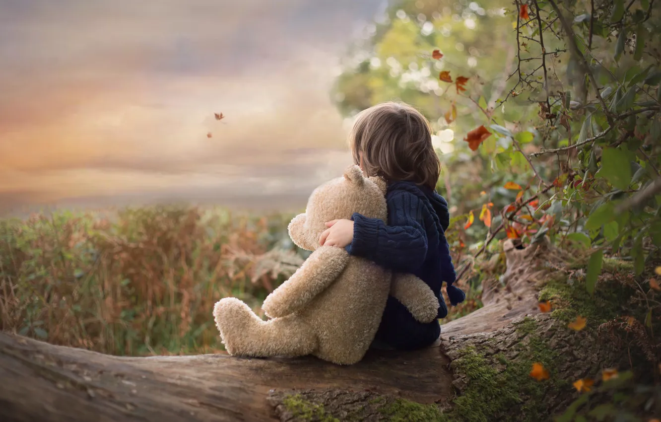 Photo wallpaper autumn, nature, children, toy, boy, bear, log, Teddy bear