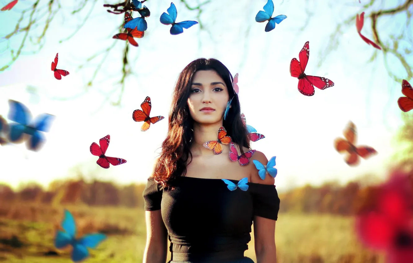 Photo wallpaper look, girl, butterfly