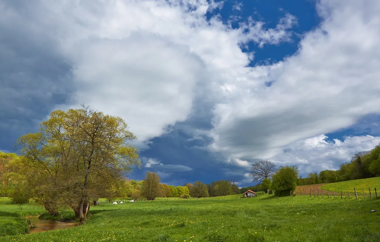 Photo wallpaper road, field, the sky, clouds, trees, home