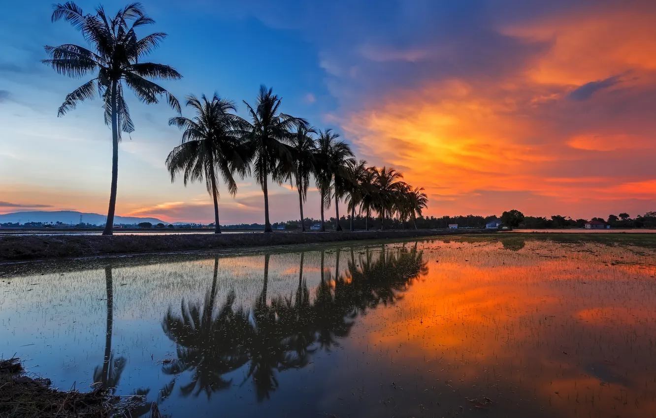 Photo wallpaper the sky, water, clouds, palm trees, home, glow