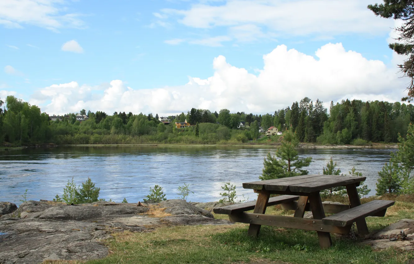 Photo wallpaper forest, grass, water, trees, landscape, nature, lake, table