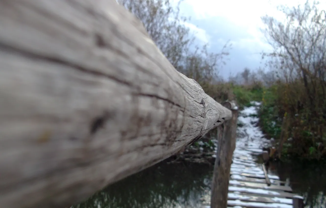 Photo wallpaper autumn, water, snow, trees, nature, river